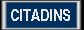 citadins