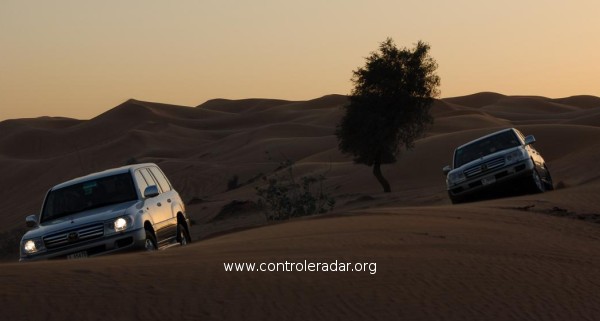 automobile assurance