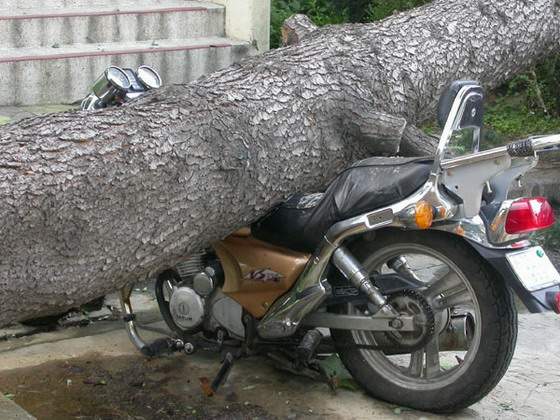 accident-moto-arbre.jpg