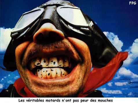 dessin humour motard mouche dans les dents