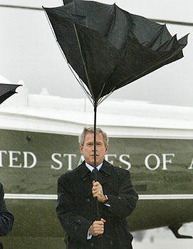 president bush et son air bête