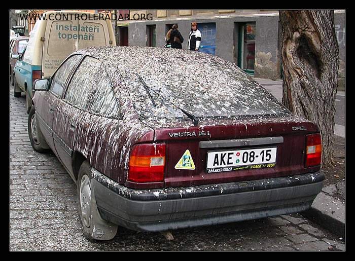 astuce voiture sous les merdes ou fientes de pigeon