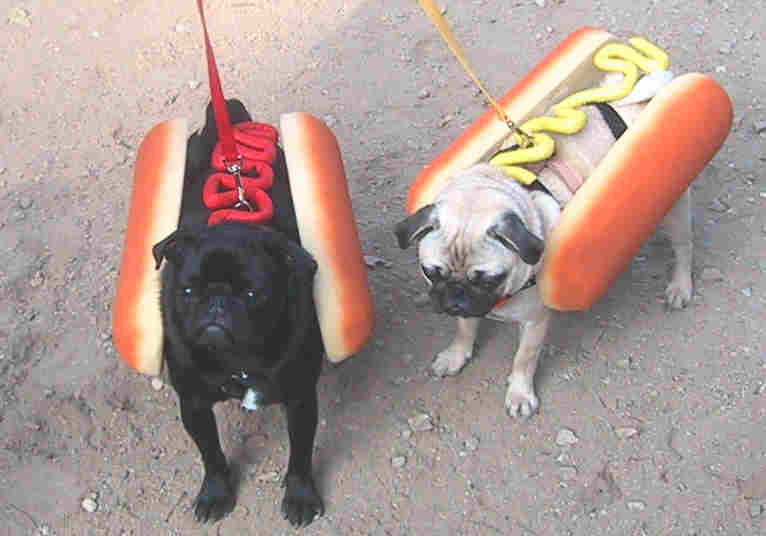 mignons les hot dogs