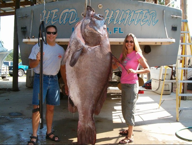 belle prise en haute mer pêche