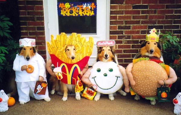 chien restaurant fast food macdo